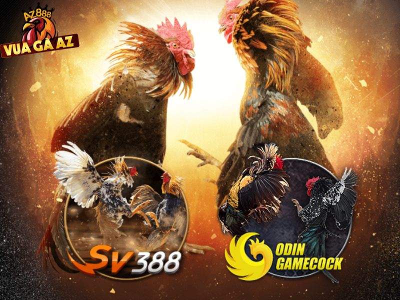 Nắm rõ các hành vi vi phạm bản quyền nhà cái Nắm rõ các hành vi vi phạm bản quyền nhà cái