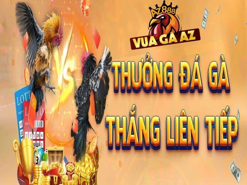 Nhận nhiều chương trình khuyến mãi hấp dẫn khi tham gia đá gà Nhận nhiều chương trình khuyến mãi hấp dẫn khi tham gia đá gà