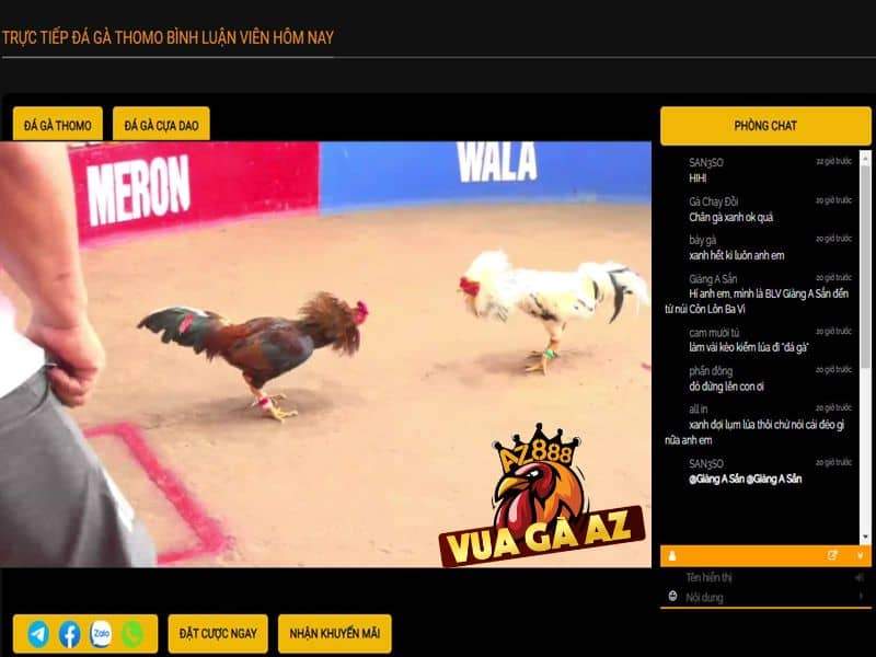Trực tiếp các trận đá gà thomo hấp dẫn hằng ngày Trực tiếp các trận đá gà thomo hấp dẫn hằng ngày