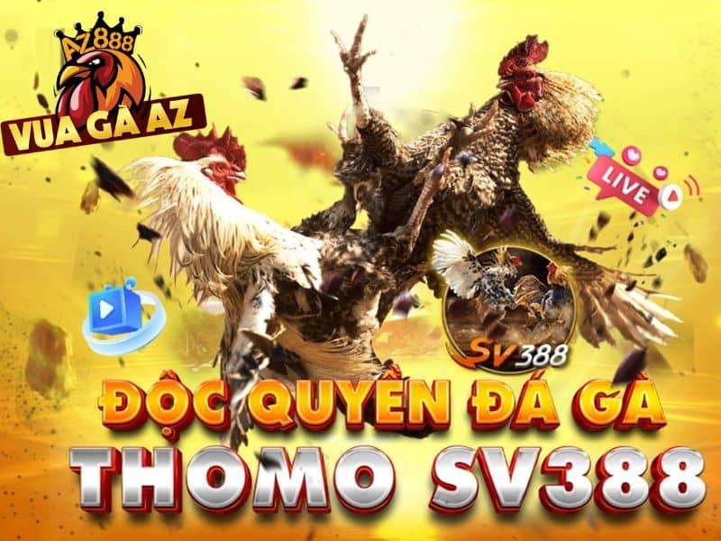 Vua Gà AZ đảm bao sự minh bạch và uy tín Vua Gà AZ đảm bao sự minh bạch và uy tín