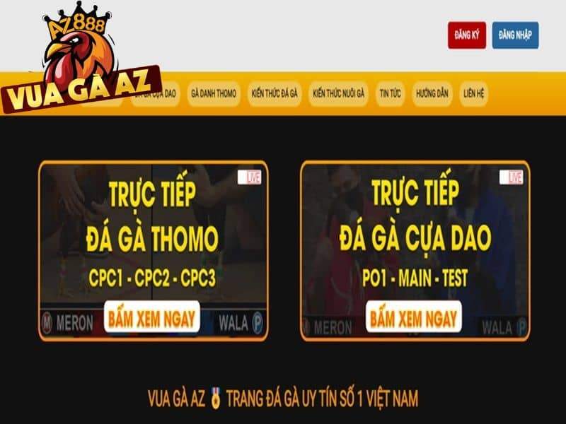 Vua Gà AZ là trang đá gà uy tín số 1 hiện nay tại Việt Nam Vua Gà AZ là trang đá gà uy tín số 1 hiện nay tại Việt Nam