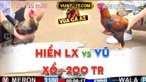 Trận 3 CPC1 Ngày 13/05/2024 - Anh Vũ Và Hiển Long Xuyên Xổ Đá 200