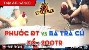 Trận 13 CPC3 13/06/2024 – Gà Anh Ba Trà Cú Thua Quá Chóng Vánh