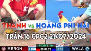 Trận 16 CPC2 21/07/2024 - Sư Kê Hoàng Phi Hải, Pháp Danh Thích Màu Mạng