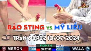 Trận 6 CPC2 10/07/2024 - Bảo Sting Chịu Không Nổi Với Anh Mỹ Liều