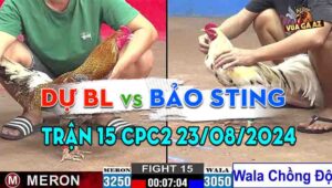 Trận 15 CPC2 23/08/2024 - Gà Bướm Bảo Sting Chồng Độ Hạ Dự Bến Lức
