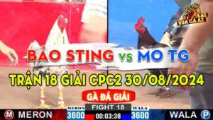 Trận 18 Giải CPC2 30/08/2024 - Anh Bảo Sting Và Anh Mo Tiền Giang