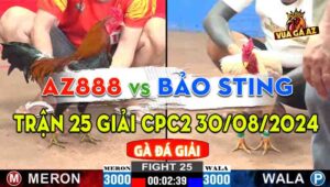 Trận 25 Giải CPC2 30/08/2024 - AZ888 Khắc Tinh Của Anh Bảo Sting