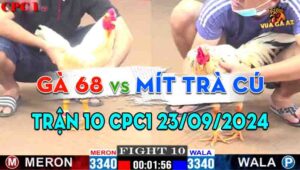 Trận 10 CPC1 23/09/2024 - Anh Mít Trà Cú Lấy Lại Phong Độ Năm Xưa