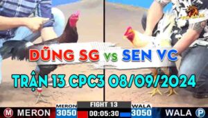 Trận 13 CPC3 08/09/2024 - Dũng Sài Gòn Gặp Sen Vĩnh Châu, Xổ 500 Triệu