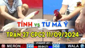 Trận 27 CPC2 11/09/2024 - Gà Anh Tư Mã Ý Đá Cựa Quá Hiểm Hóc