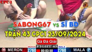 Trận 43 Giải CPC1 23/09/2024 - Sabong67 Bị Anh Sĩ Bình Dương Hạ Gọn