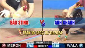 Trận 10 CPC2 Ngày 15/11/2024 - Bảo Sting Nằm MERON Không Kém Gì WALA