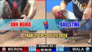 Trận 21 CPC2 Ngày 15/11/2024 - Anh Bảo Sting Ngã Ở Đâu Đứng Lên Ở Đó