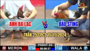 Trận 25 CPC2 15/11/2024 - Anh Bảo Sting Cắt Bông Về Cúng Rằm