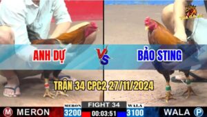 Trận 34 CPC2 27/11/2024 - Anh Dự Hạ Anh Bảo Sting Dễ Dàng