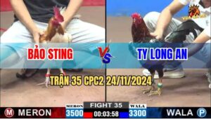 Trận 35 CPC2 24/11/2024 - Anh Bảo Sting Đưa Anh Em Đi Xa