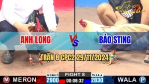 Trận 8 CPC2 29/11/2024 - Anh Long Đung Độ Với Anh Bảo Sting