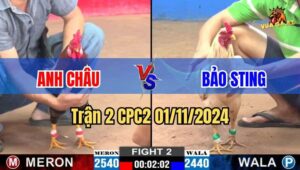 Trận 2 CPC2 01/11/2024 giữa anh Châu và anh Bảo Sting