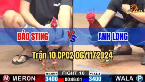 Trận 10 CPC2 06/11/2024 giữa anh Bảo Sting và anh Long