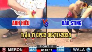 Trận 11 CPC2 06/11/2024 giữa anh Hiếu và anh Bảo Sting