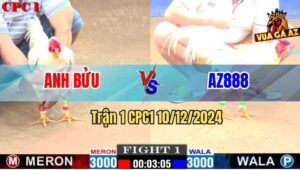 Trận 1 CPC1 10/12/2024 - Gà AZ888 Ra Quân Hạ Tuyệt Đối Gà Anh Bửu