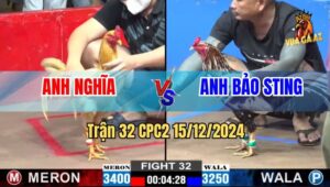 Trận 32 CPC2 15/12/2024 - Phản Kèo Như Chóng Chóng, Biện Toát Mồ Hôi