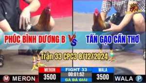 Trận 33 CPC3 8/12/2024 - Anh Phúc Bình Dương B Và Anh Tấn Gạo Cần Thơ