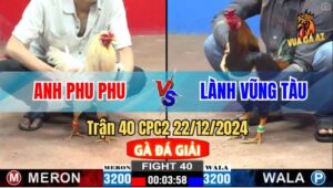 Trận 40 CPC2 22/12/2024 - Anh Phu Phu Rớt Nài Với 3 Trận, 0 Điểm