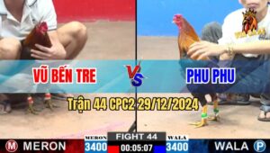 Trận 44 CPC2 29/12/2024 - Gà Phu Phu Thất Thủ Trước Gà Anh Vũ Bến Tre