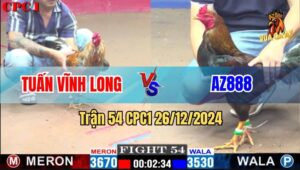 Trận 54 CPC1 26/12/2024 - Gà Điều Của AZ888 Đá Quá Đẳng Cấp
