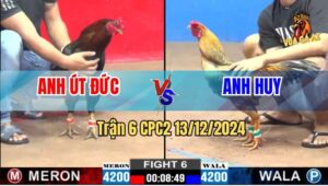 Trận 6 CPC2 13/12/2024 - Anh Bảo Sting Thả Gà Vàng Lụm Lúa Sau 3 Chân