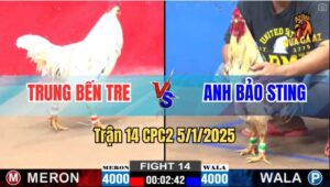 Trận 14 CPC2 5/1/2025 - Bướm Hiệu Anh Bảo Sting 1 Đá Đối Thủ Xì Cơm