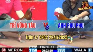 Trận 17 CPC2 22/1/2025 - Gà Vàng Anh Phu Phu Dập Cái Lút Cán Lụm Lúa