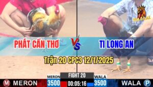 Trận 20 CPC3 12/1/2025 - Gà Phát Cần Thơ Và Gà Ti Long An Hoà Sát Nút