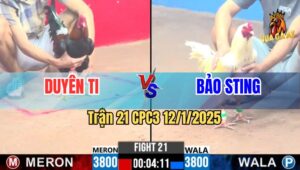 Trận 21 CPC3 12/1/2025 - Bướm Hiệu Bảo Sting Hạ Điều Cọp Duyên Ti