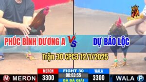 Trận 30 Giải CPC3 12/1/2025 - Phúc Bình Dương A Vs Dự Bảo Lộc