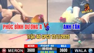 Trận 40 Giải CPC3 12/1/2025 - Phúc Bình Dương A Vs Anh Tấn