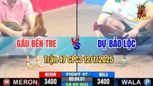 Trận 47 Giải CPC3 12/1/2025 - Gấu Bến Tre Vs Dự Bảo Lộc