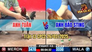 Trận 13 CPC2 26/2/2025 - Anh Tuân Phục Thù Anh Bảo Sting Thành Công