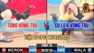Trận 15 CPC3 16/2/2025 Anh Cu Lửa Bị Gạt Giò Mất Thưởng 3 Trận Bất Bại