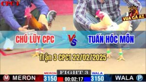 Trận 3 CPC1 22/2/2025 - Gà Bướm Anh Tuấn Hóc Môn Đá Bo Như Cây Đập
