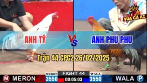 Trận 44 CPC2 26/2/2025 - Khét Phu Phu Đá Bướm Anh Tý Như Con Không Đẻ
