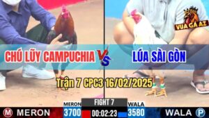Trận 7 CPC3 16/2/2025 - Gà Điều Chú Lũy Đâm Cựa Quá Tịch