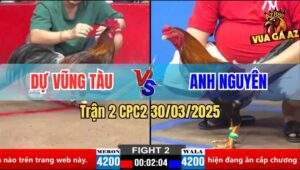 Trận 2 CPC2 30/3/2025 - Anh Dự Vũng Tàu Rớt Nài Trước Anh Nguyên Mập