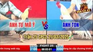 Trận 25 CPC1 21/3/2025 - Gà Chuối Anh Tư Mã Ý Hạ Sát Gà Bướm Anh Ton