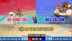 Trận 26 CPC1 20/3/2025 - Xám Bông Anh Dự Chồng Độ 3 Đá Đối Thủ Bỏ Chạy