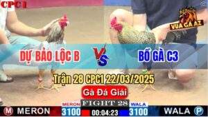 Trận 28 CPC1 22/3/2025 - Anh Dự Bảo Lộc B Và Bồ Gà C3