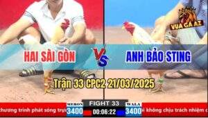 Trận 33 CPC1 21/3/2025 - Mẻ Hiệu Anh Bảo Sting Đá Bo Như Cây Đập