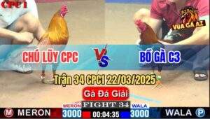 Trận 34 CPC1 22/3/2025 - Chú Lũy Campuchia Gặp Bồ Gà C3